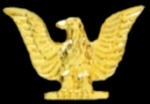 USN NAVY GOLD EAGLE PIN