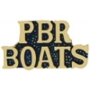 USN NAVY PATROL BOAT RIVER PIN PBR BOATS SCRIPT PIN