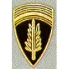 US ARMY SHAEF LOGO PIN