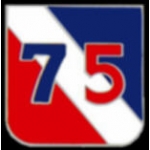 US ARMY 75TH DIVISION LOGO PIN