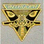 US AIR FORCE INTRUDER LOGO