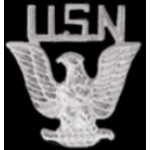 USN NAVY PIN SILVER USN EAGLE PIN 7/8