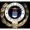 US AIR FORCE LAUREL PIN