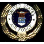 US AIR FORCE LAUREL PIN