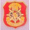 USMC MARINE CORPS 8TH REGIMENT PIN