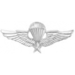 VIETNAM JUMP WINGS LARGE PIN