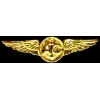 USN NAVY USMC MARINE CORPS AIR CREW WING GOLD