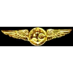 USN NAVY USMC MARINE CORPS AIR CREW WING GOLD