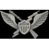 US ARMY AIR ASSAULT WING PIN