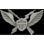 US ARMY AIR ASSAULT WING PIN