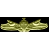 USN NAVY SURFACE WARFARE WING GOLD LARGE PIN