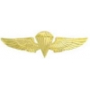 USMC MARINE CORPS JUMP PIN LARGE GOLD JUMP WINGS PIN