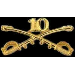 US ARMY 10TH CALVARY PIN CROSSED SABERS LARGE PIN