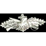 USN NAVY SEABEES PIN FULL SIZE COMBAT SERVICE WING PIN