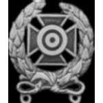 EXPERT SHARPSHOOTER US MILITARY PIN