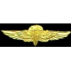 USMC MARINE CORPS JUMP WINGS SMALL PIN