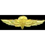 USMC MARINE CORPS JUMP WINGS SMALL PIN