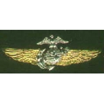 USMC MARINE CORPS PIN MINI WING GOLD SILVER PIN