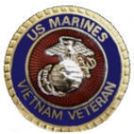 USMC MARINE CORPS VIETNAM VETERAN BLUE VER. PIN