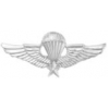 VIETNAM JUMP WINGS MINI PIN