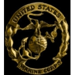 USMC PIN MARINE CORPS PIN GOLD CUTOUT LARGE OVERSIZE PIN