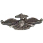 USMC MARINE CORPS FLEET MARINE FORCE WING LARGE PIN