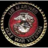 USMC MARINE CORPS GULF WAR VETERAN PIN