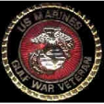 USMC MARINE CORPS GULF WAR VETERAN PIN