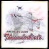 US AIR FORCE THUNDERBIRDS 2006 TEAM PIN